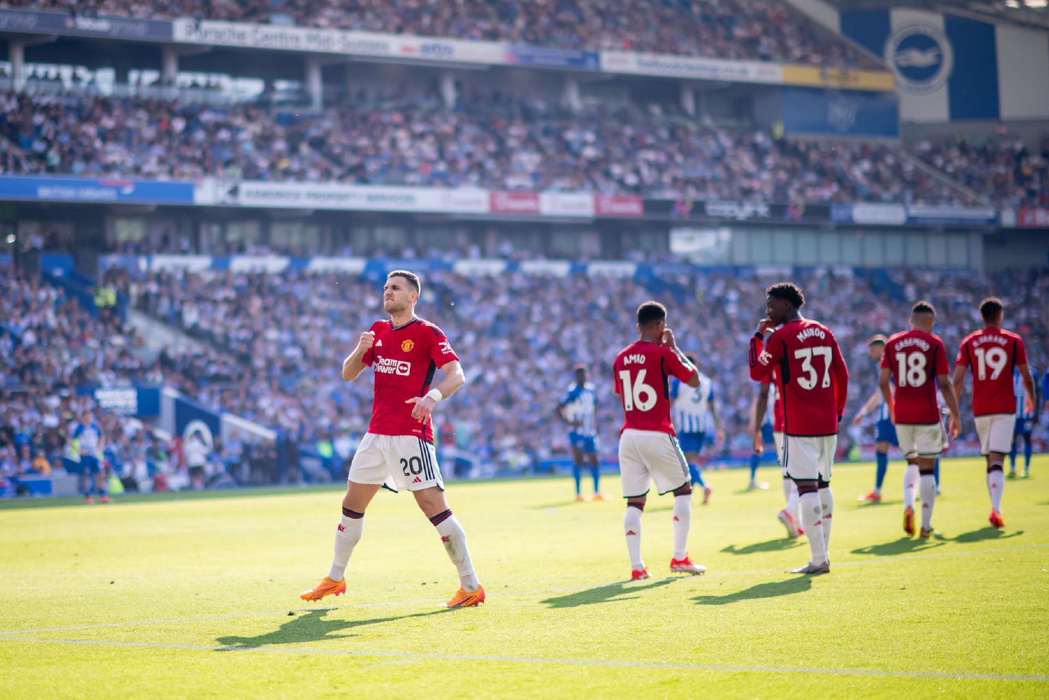 的身體素質 的身體素質